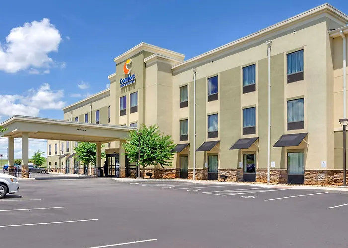 Comfort Inn & Suites Lynchburg Airport - University Area