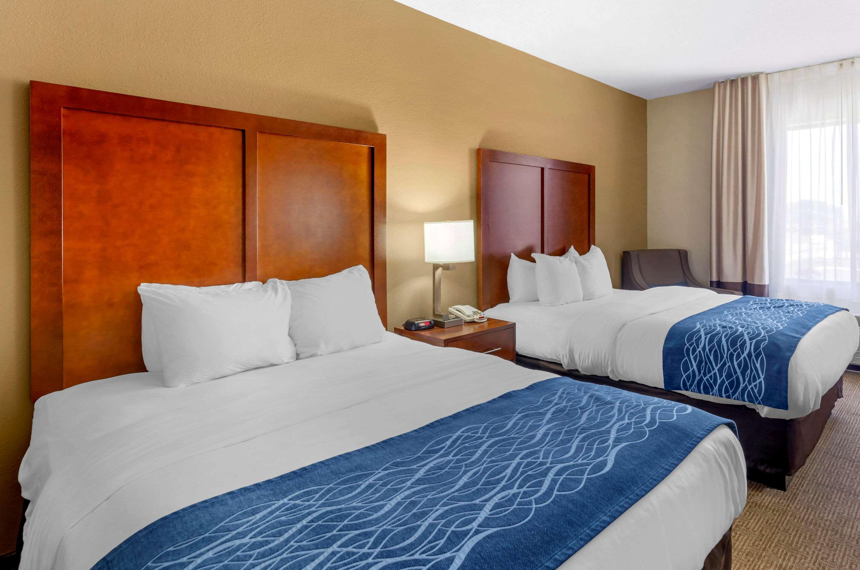 Comfort & Airport - Area Hotel
